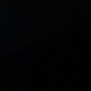 Meet your Posher, Leila